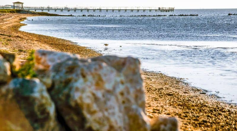 7 Places to See Whooping Cranes in Texas in February (Before They Migrate North) Copano Bay