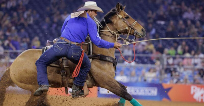 7 Amazing Things to Do in Texas in February (You’ll Want to Do Them All)