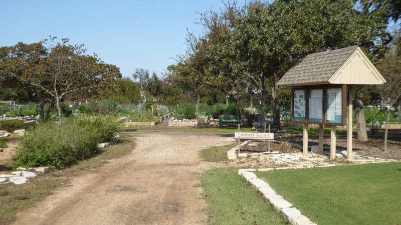 Sun City Texas (Georgetown area)