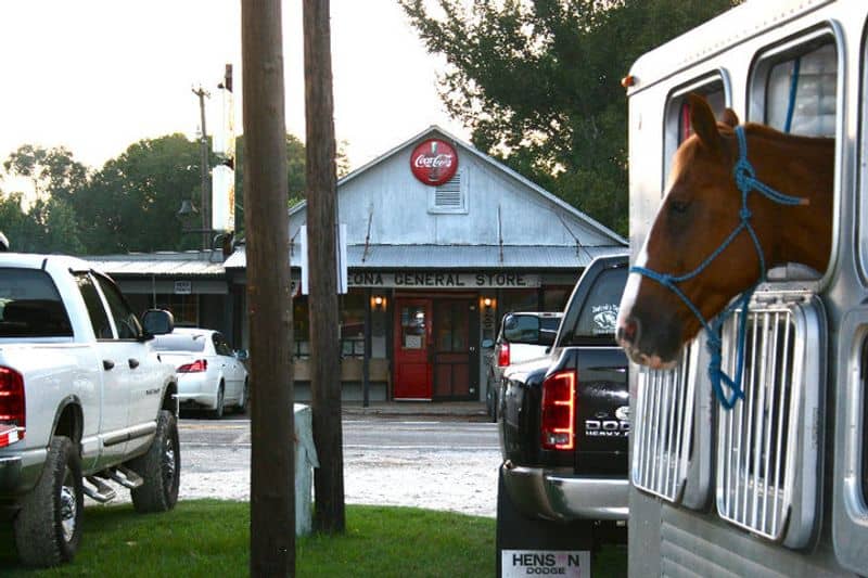 Pro Tips For First Timers