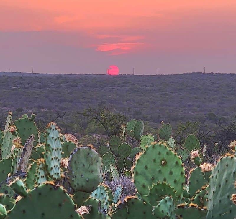Campground Under Dark Skies