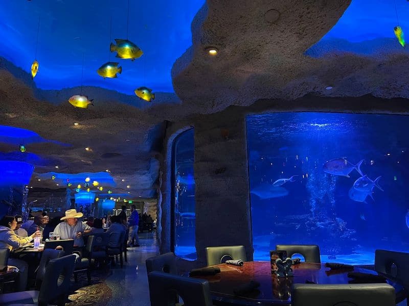 Dine With Sharks At This Incredible Underwater Restaurant In Houston Family Friendly Fun With Underwater Views