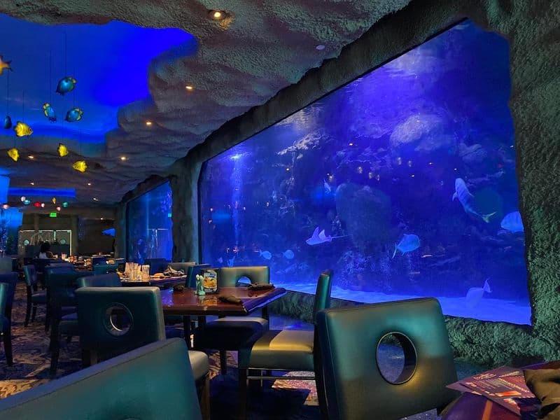 Dine With Sharks At This Incredible Underwater Restaurant In Houston The Signature 150,000 Gallon Aquarium Experience