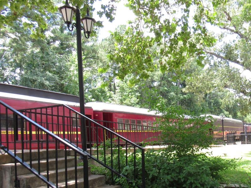 Scenic Run: Through East Texas Pines at Sunset