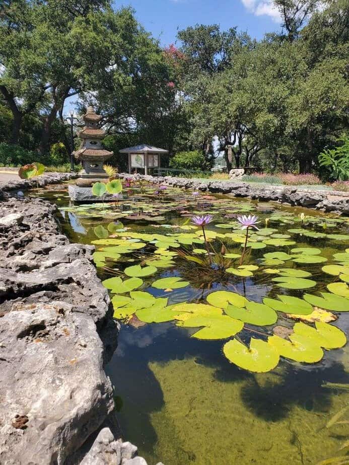 Zilker Botanical Garden