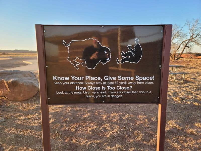 Safety, Bison Etiquette, and Weather Smarts