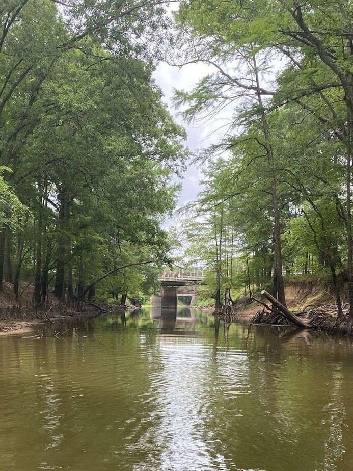 The Bayou&rsquo;s Lantern Drift