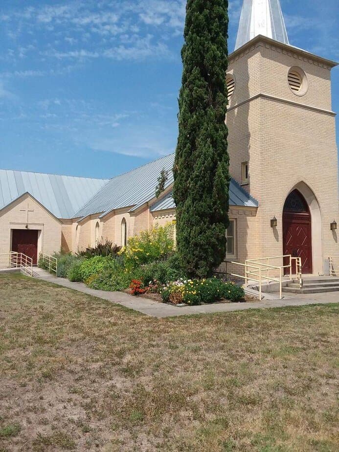 People Think This Place Is in France—But It’s Actually in Texas Castroville Poppies and Seasonal Blooms
