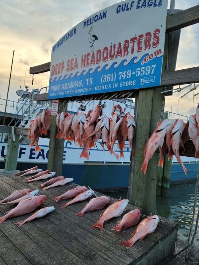 Food, Drinks, and Budget Friendly Treats