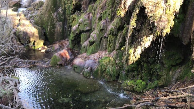 Take This Unforgettable Road Trip to Experience Texas’ 10 Most Impressive Caves and Waterfalls Gorman Falls (Colorado Bend State Park)