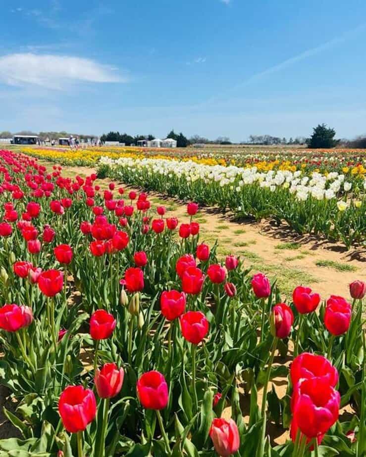 Photo Ops: Getting Gorgeous Shots Without Crowds