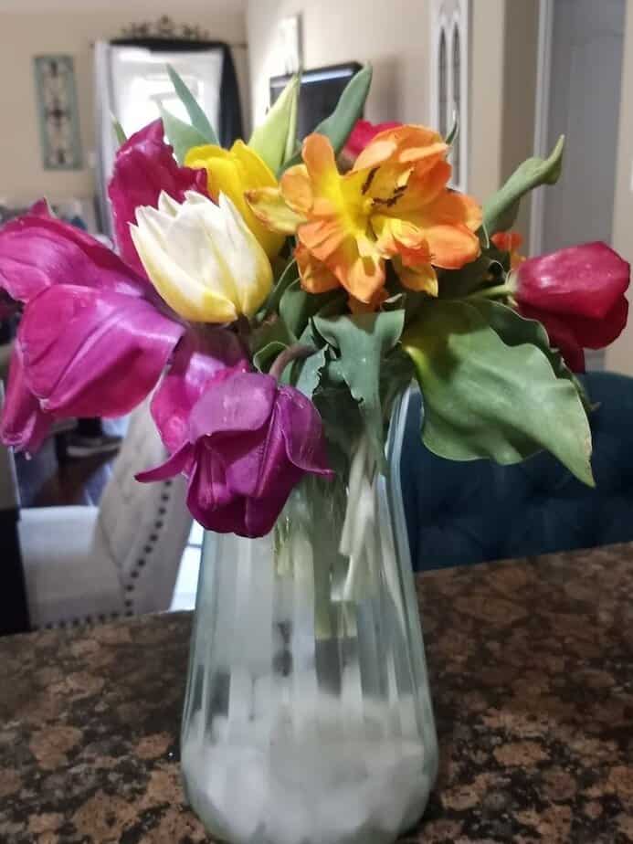 How to Pick and Keep Tulips Fresh Longer