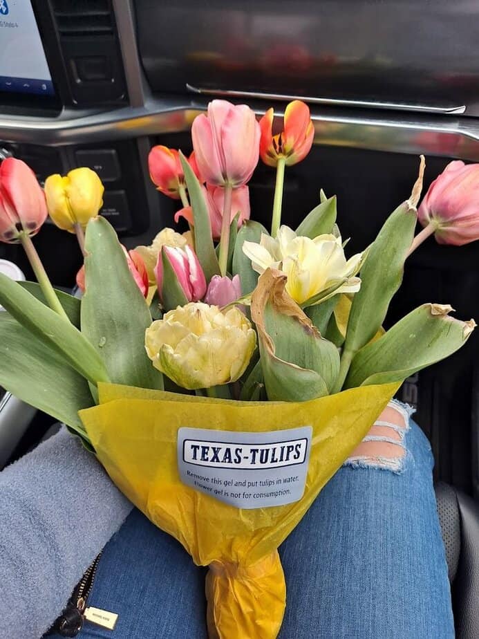 Family-Friendly Tips: Strollers, Shoes, and Budgets