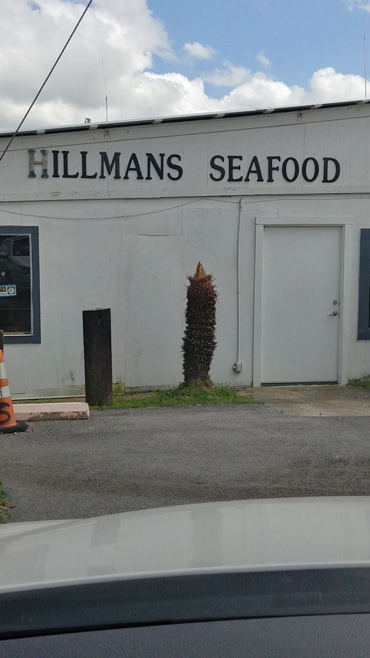 Hillman’s Seafood Market (Dickinson)