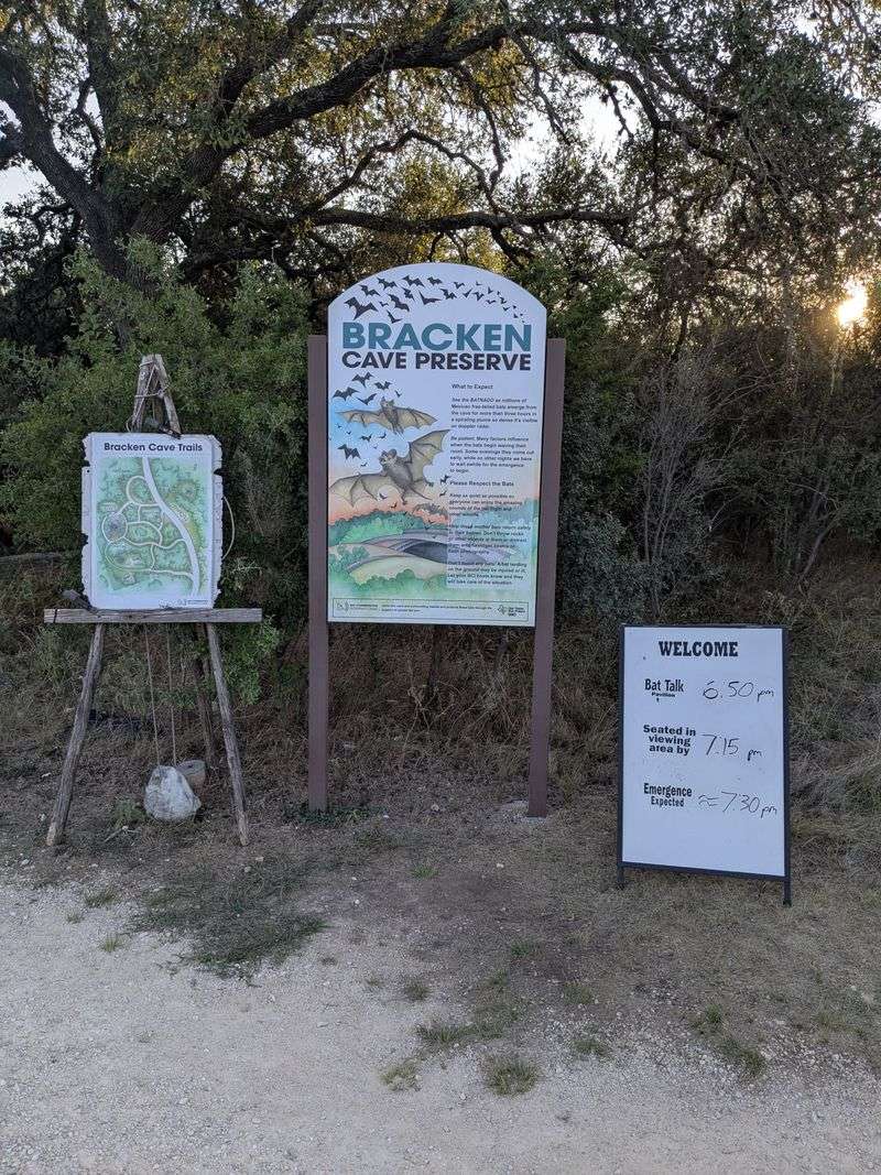 The People Behind The Magic