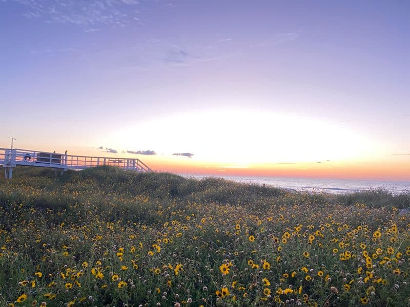 Sunrise On Follet's Island Dunes