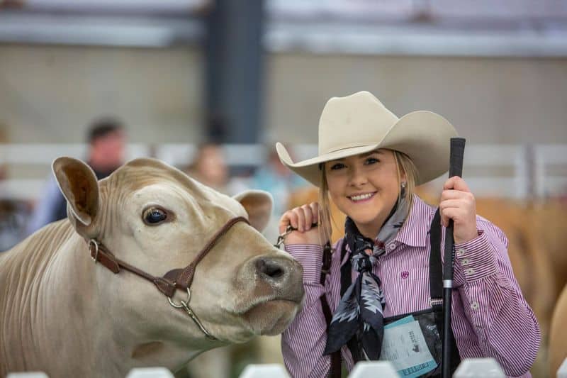 Big-Name Concerts That Rival Any Music Festival