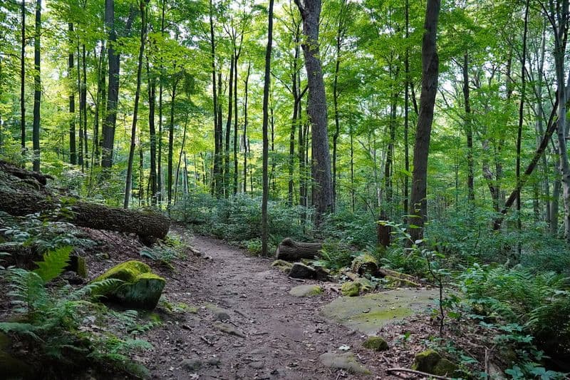 Trail Tips and Safety Basics