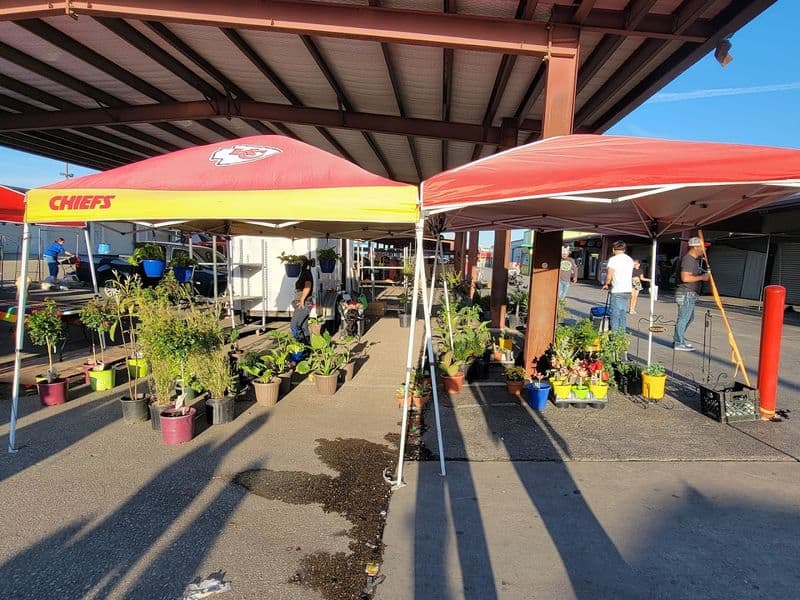 Beating The Heat And Lasting All Day