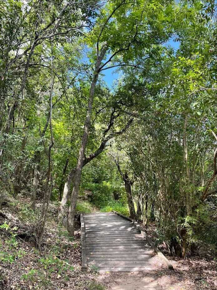 The Underrated Texas State Park Where $5 Gets You a Full Day of Swimming and Hiking Easy Hiking Under Shady Oaks