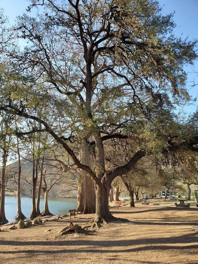 Garner State Park (Concan)