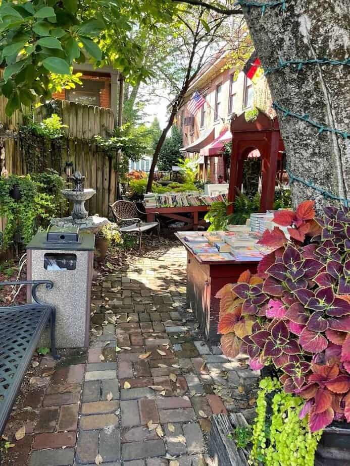 Courtyard Charm And First Impressions