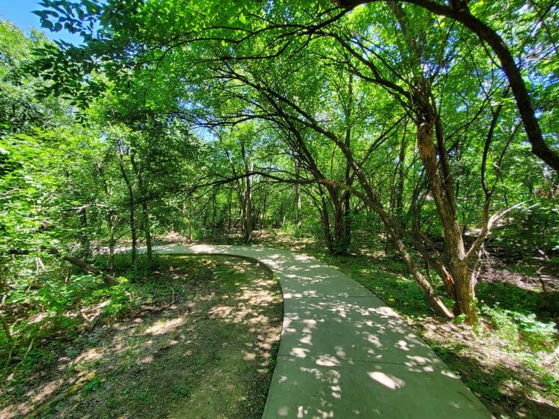 Mountain Biking Flow Sections