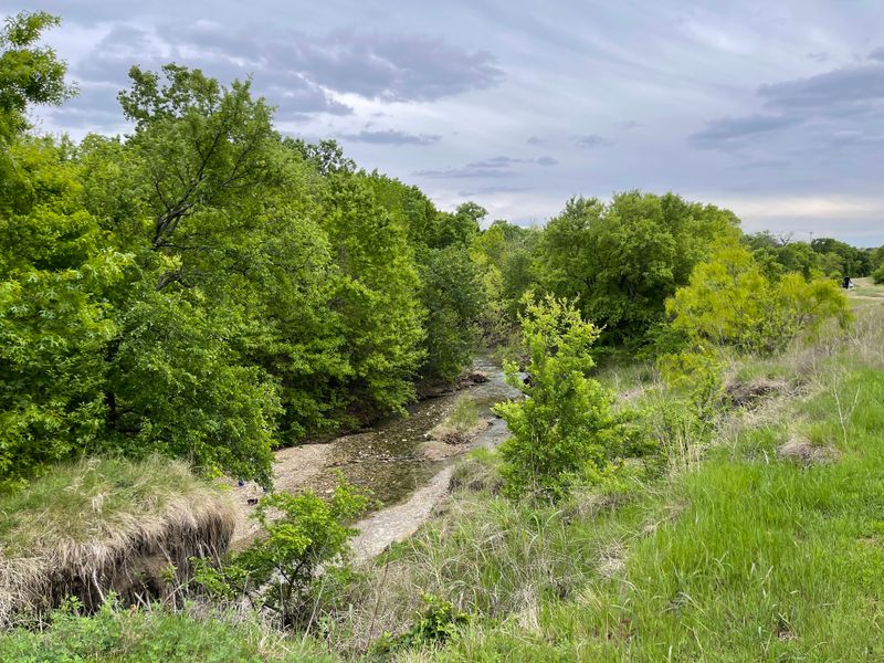 Prairie, Creek, and Wildlife Spots