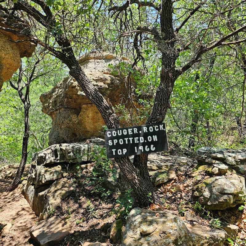 Best Times and Trail Etiquette