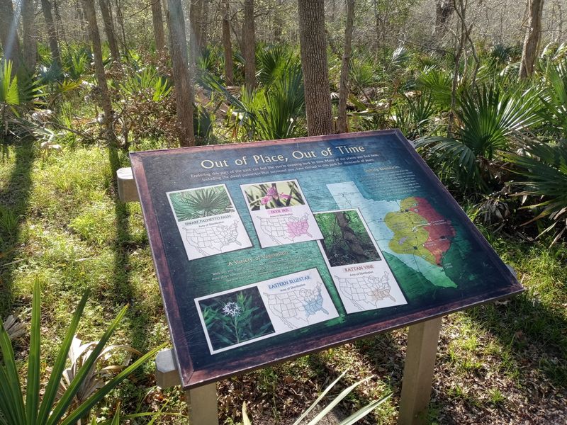 Oxbow Lake Loop: Easy Shade And Wildlife