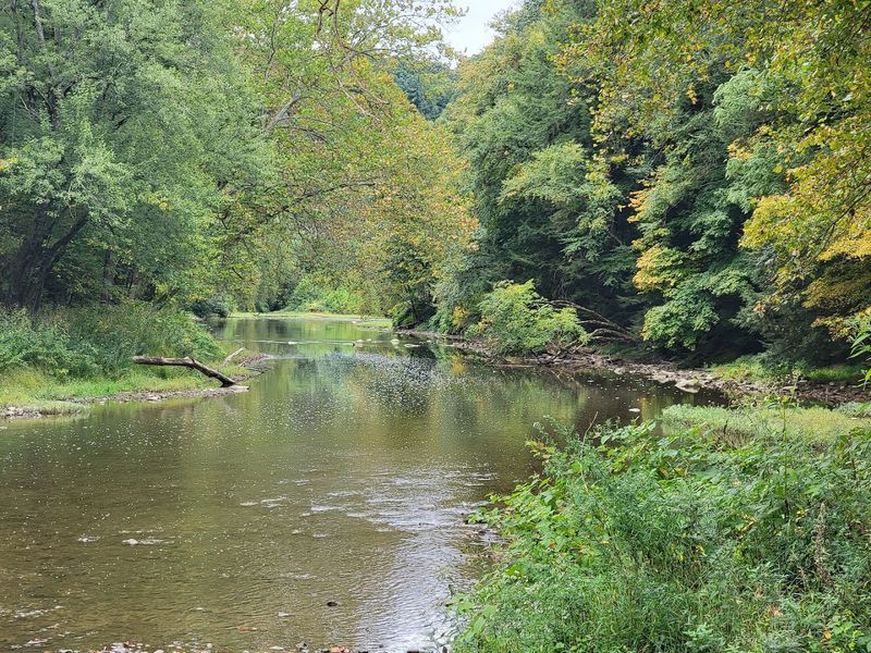 The Creekside Trails