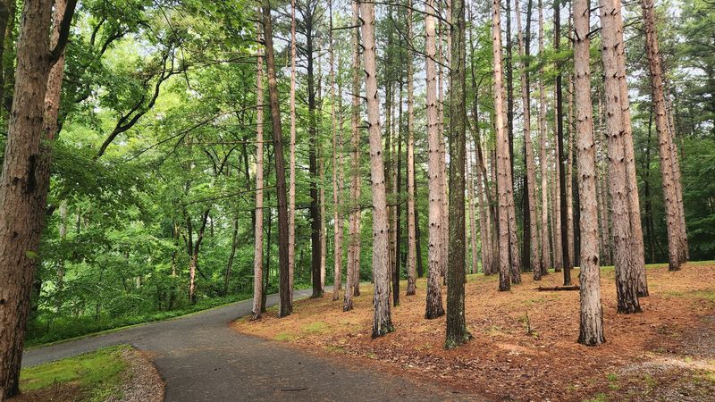 Scenic Overlook And Ridgeline Strolls