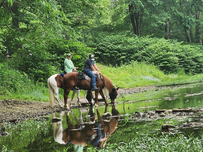 Equestrian Trails And Quiet Camp Loops