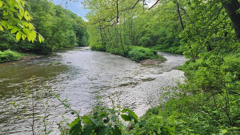 Fishing And Creekside Picnics