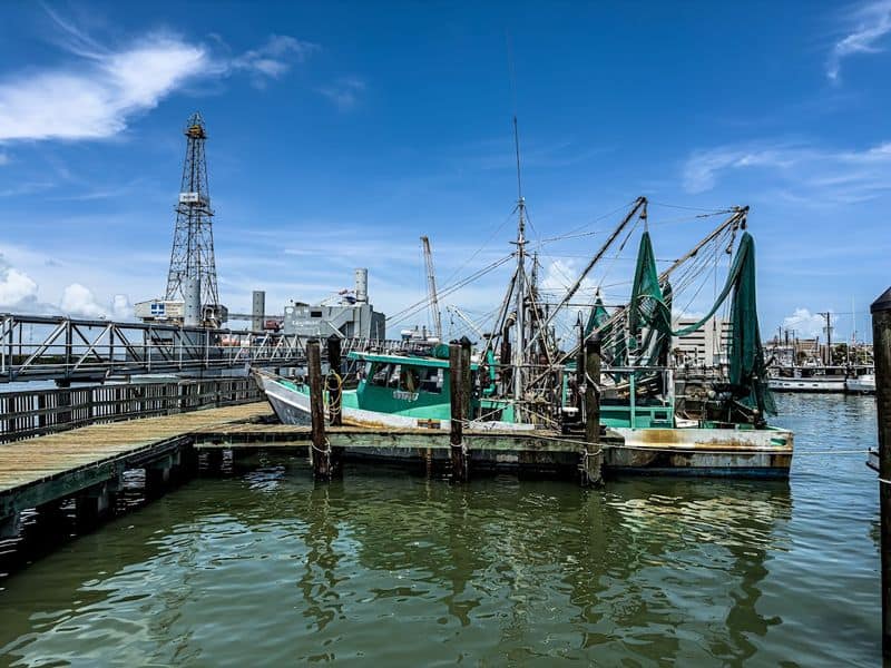Dockside Arrival and Harbor Views
