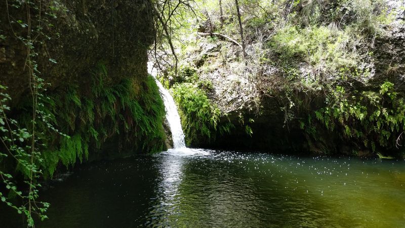 Pedernales Falls (Pedernales Falls State Park)