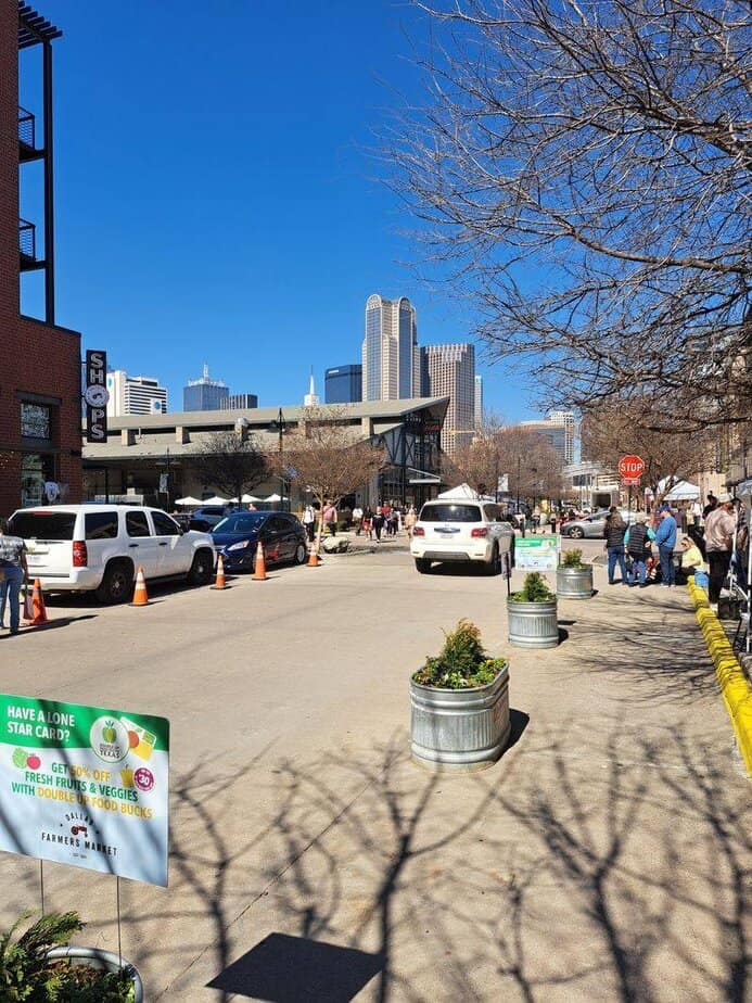 This Massive Dallas Market Is Where Tacos, Tulips, and Texas Vibes Take Over Tips For Parking, Timing, and Comfort
