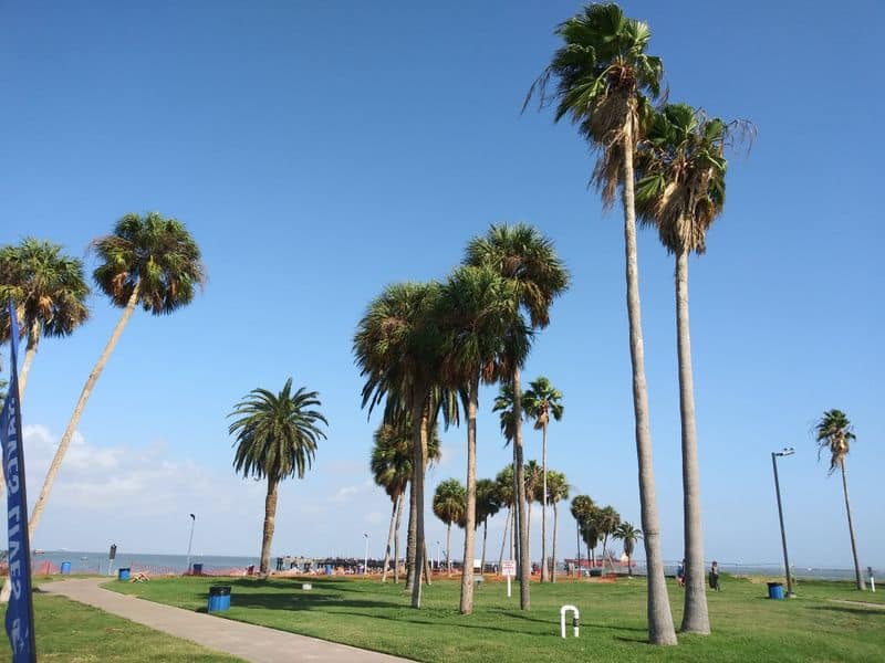 This Quiet Texas Park Hides a Legendary World War II Submarine Picnics, Playgrounds, and Easy Relaxation