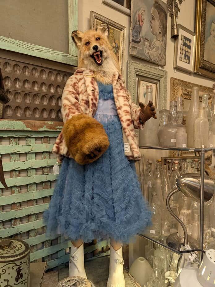 The Taxidermy Corner and Natural Wonders