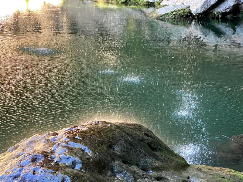 What To Pack And What To Skip