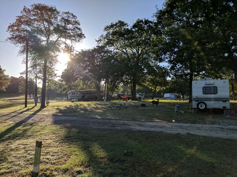 RV Sites and Shaded Camping Near the Woods
