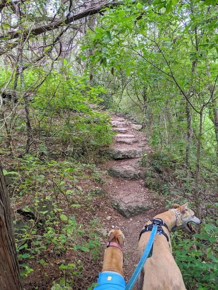This Stunning 2.7-Mile Texas Hike Ends With Waterfalls And Wildflowers Family and Dog-Friendly Tips