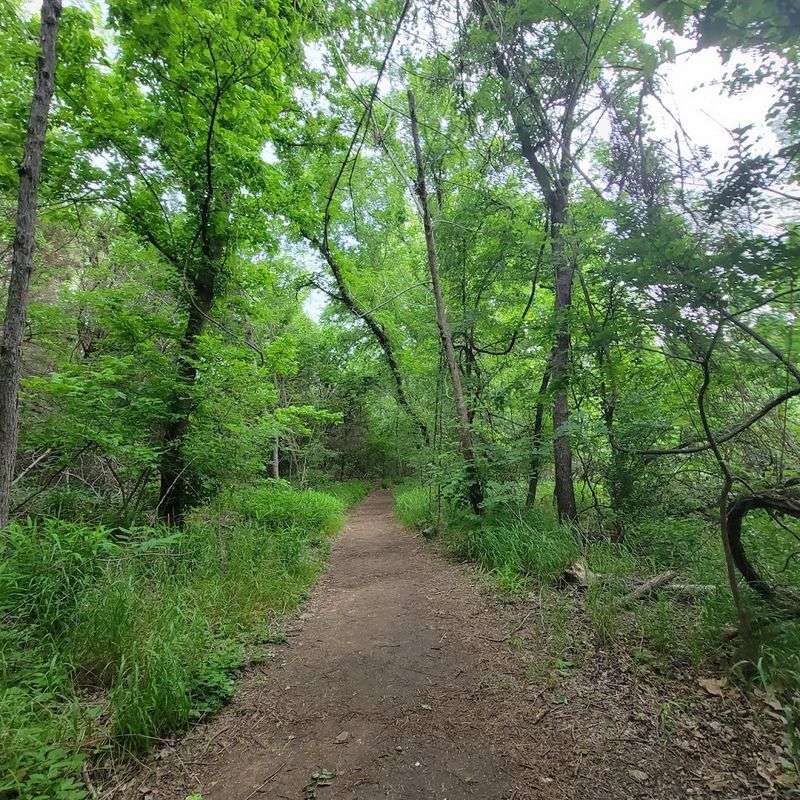 This Stunning 2.7-Mile Texas Hike Ends With Waterfalls And Wildflowers Trail Overview and Best Times to Go