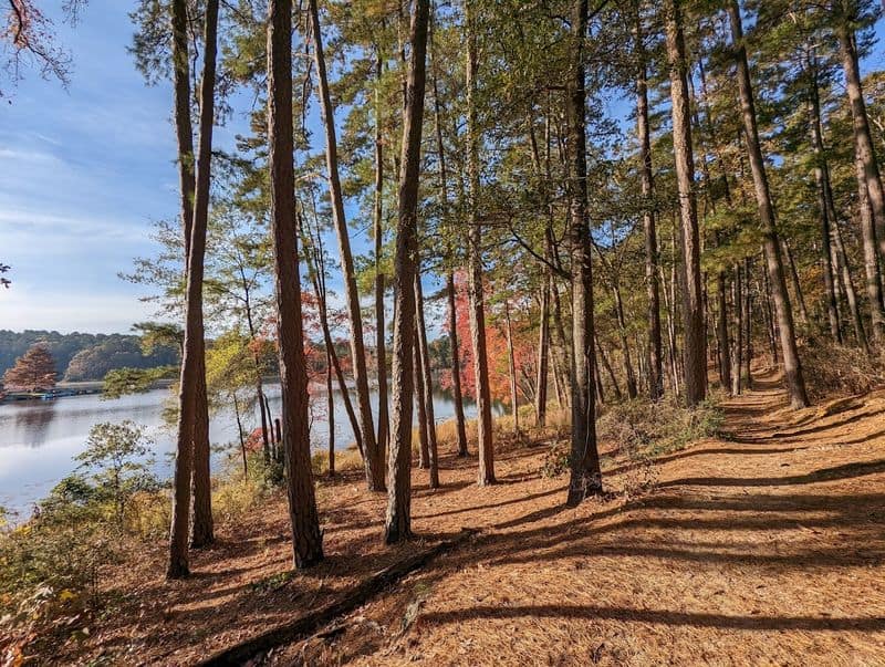 Hike The Rustling Leaves Trail