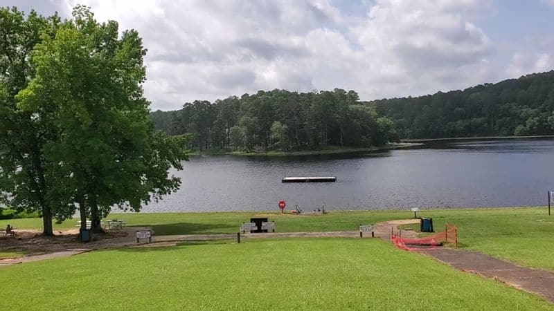 Swim Beach Chill Session