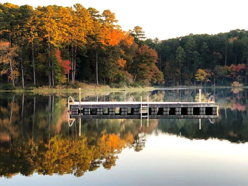 Evening Wildlife And Birdwatching