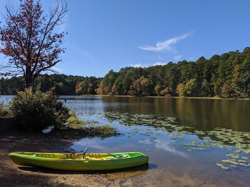 Morning Canoe On Little Pine Lake