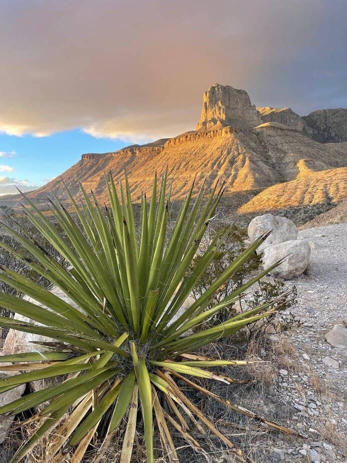 El Capitan Overlook and Classic Silhouette