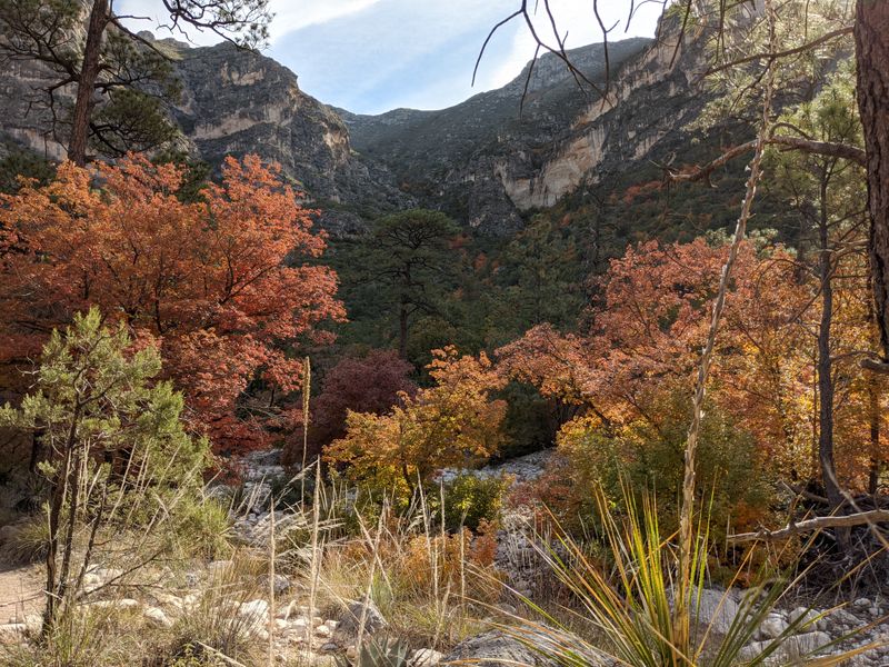 McKittrick Canyon Fall Color Walk