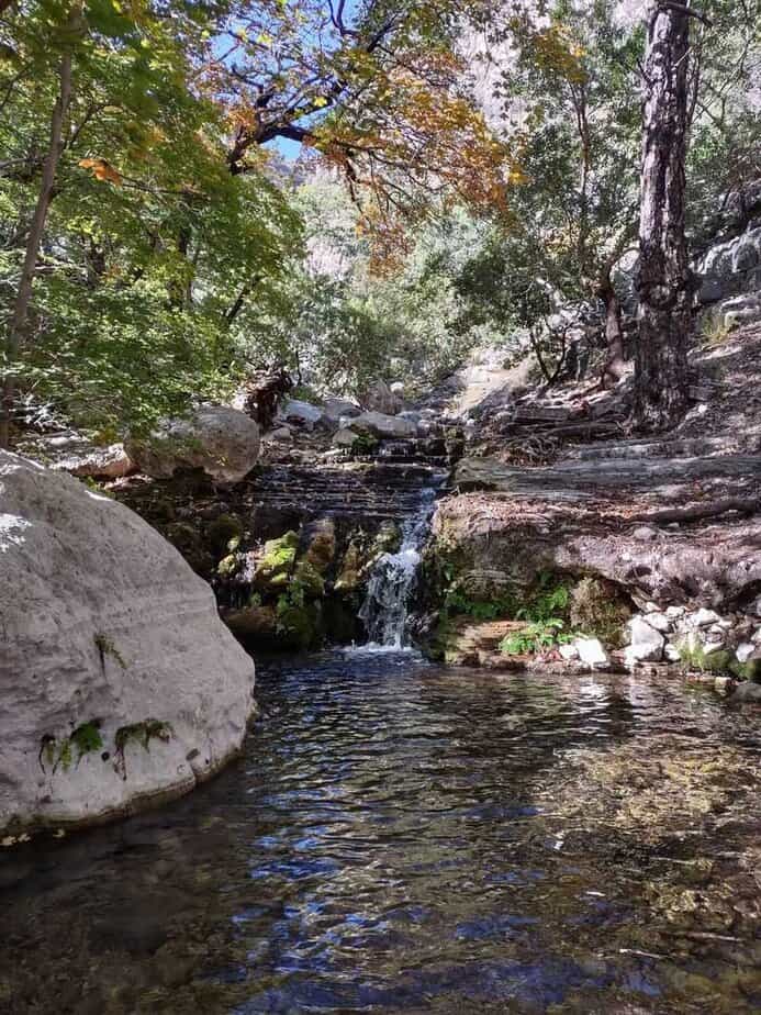 Smith Spring and Frijole Ranch Oasis